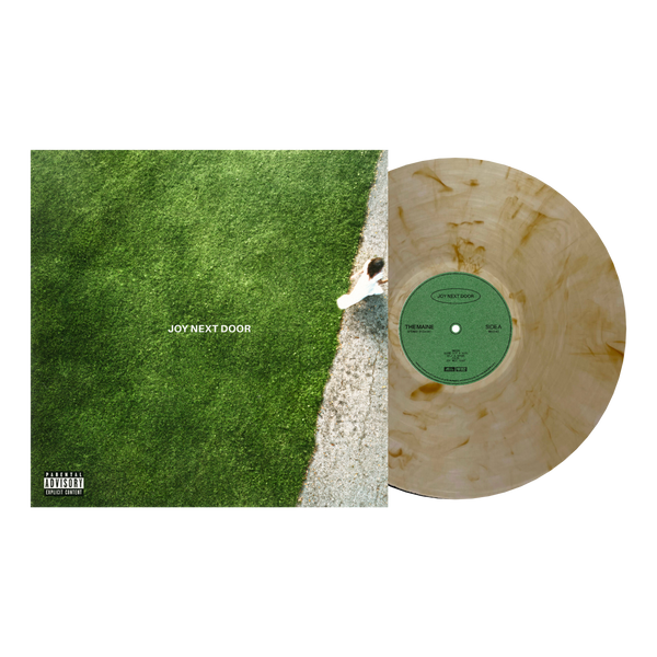 Joy Next Door Vinyl (Earth Tone) – 8123