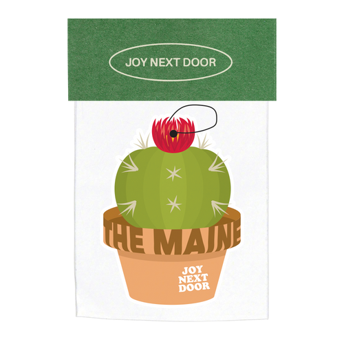 Air Freshener Pack