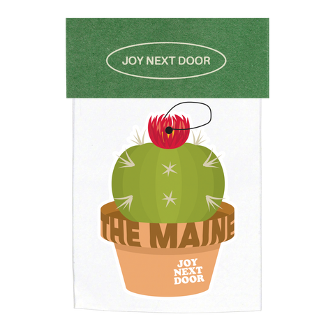 Joy Next Door (CD)