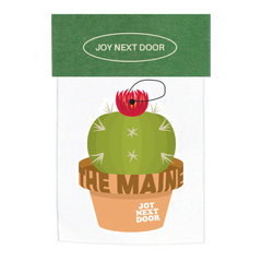 Air Freshener Pack